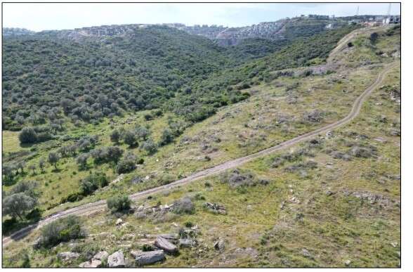 Milas Adabükü’nde 249 Odalı Turizm Tesisi İçin ÇED Süreci Başladı 4